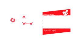 Conecta - Gestão Social